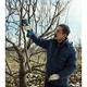 Секатор Bosch Pro Pruner, 12V, 2х3Ah (0.601.9K1.021) - изображение 7