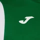 Футболка спортивна довга чоловіча Joma Dinamo 100446.450 XL Зелена (9996285844099) - зображення 6