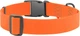 Ошейник для собак водостойкий WAUDOG Waterproof c QR паспортом пластиковый фастекс XXL Ш 40 мм Дл 46-70 см Оранжевый (25114Collar) - изображение 2