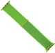 Ремешок ArmorStandart Nylon Band для Apple Watch 42/44/45/49 mm Light Green (ARM57858) - изображение 1