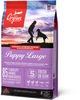 Сухой корм для щенков крупных пород Orijen Puppy Large 11.4 кг (o18112) - изображение 2