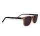 Детские очки polarized P6648-2 коричневый - изображение 2