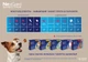 Жевательные таблетки от блох, клещей и гельминтов для собак Boehringer Ingelheim NexGard Spectra (НексГард Спектра) весом 30-60кг(XL) 1 таблетка - изображение 3