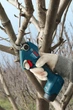 Аккумуляторный секатор Bosch Pro Pruner сет 2 акк. (06019K1021) - изображение 6