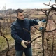 Аккумуляторный секатор Bosch Pro Pruner сет 2 акк. (06019K1021) - изображение 9