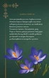 Щоденник Мавки. Весна. Ранок - изображение 5