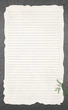 Щоденник Мавки. Зима. Ранок - изображение 7