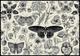 Пазлы Interdruk Flovers №3 "Черно-белые бабочки и цветы" 33х46 см 500 шт (326041) (5902277326041) - изображение 2