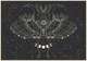 Пазлы Interdruk Galaxy №2 "Космическая бабочка" 33х46 см 500 шт (326065) (5902277326065) - изображение 3