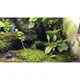 Мох Сфагнум 4 л Repti-Zoo RZ-SB031 для тераріума - зображення 4