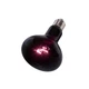 Ночная лампа с подогревом Repti-Zoo Moonlight Heat 50W для рептилий и амфибий без UVA (D63050) - изображение 4