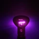 Ночная лампа с подогревом Repti-Zoo Moonlight Heat 50W для рептилий и амфибий без UVA (D63050) - изображение 5