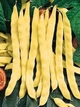 Семена Фасоль кустовая Марвел ди Венеция, 10 г (GL Seeds) - изображение 4