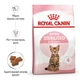 Сухий корм для стерилізованих котят Royal Canin Kitten Sterilised 2 кг (домашній птах) - зображення 2