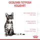 Сухий корм для стерилізованих котят Royal Canin Kitten Sterilised 2 кг (домашній птах) - зображення 3