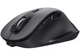 Мышь компьютерная Trust Fyda Wireless Mouse Eco 24727 2400dpi беспроводная Черный - изображение 3