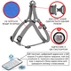 Шлея для собак водостойкая WAUDOG Waterproof с QR паспортом, светоотражающая, металлическая пряжка-фастекс, размер L, 60-90 см 25 мм Серая (262011) - изображение 2