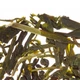 Чай зелений Althaus Sencha Senpai 250 г / Сенча Сенпай листовий 250 г - изображение 2