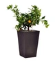 Горшок для цветов Keter Rattan medium коричневый (17192301) - изображение 3