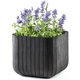 Горщик для квітів Keter Cube Planter L антрацит (17201220) - зображення 7