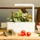 Стартовий набір Click and Grow бежевий 7212 SG3 - изображение 2