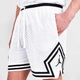Шорты баскетбольные Jordan Sport Dri-FIT Men's Diamond Shorts размер L (DH9075-100) - изображение 1