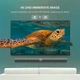Кабель мультимедийный Display Port to Display Port 5.0m V1.2 DP102 Ugreen (10213) (194024) - изображение 7