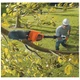 Кусторез Black&Decker высоторез, 18V,2Ah, штанга 150-244 см, длинна шины 20 см (GPC1820L20) - изображение 6
