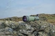 Підзорна труба Kowa TSN-82SV 82 mm Angled (10565) - зображення 6