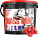 Megabol Whey Mass Gain 3000 g Strawberry (5907582338161) - obraz 1