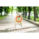 Іграшка для собак Collar PitchDog Кільце для апортування 28 см помаранчеве (62384) - зображення 4
