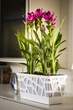 Вазон Idel Flowerbox 40 см Сірий/білий (730034) - зображення 14