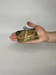 Пружинный зажим (Чироз) Anas Metal усиленный оцинкованный 110 х 75 толщина 4 мм - изображение 2