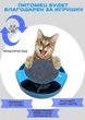Интерактивная игрушка для кота и кошки "Бегающая мышка" Sunroz Catch The Mouse с когтеточкой Голубой - изображение 7