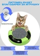 Интерактивная игрушка для кота и кошки "Бегающая мышка" Sunroz Catch The Mouse с когтеточкой Зеленый - изображение 2