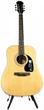 Акустична гітара Epiphone DR-100 NT - зображення 1