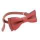 Бабочка Bow Tie House кожаная терракотовая 09478 - изображение 4