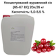 Концентрированный клюквенный сок Eva 65-67 ВХ канистра 20л/26 кг - изображение 1