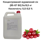 Концентрированный клюквенный сок Eva 65-67 ВХ канистра 5л/6,5 кг - изображение 1