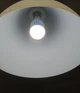 Led лампочка уничтожитель насекомых Noveen IKN804 цоколь E27 8 Вт (Niz16711) - изображение 3