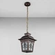 Уличный подвесной светильник Light House DL-18830/1P кофейный - изображение 1