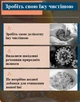 Озонатор воды и продуктов беспроводной ультразвуковой очиститель для овощей и фруктов от USB QH-15 - изображение 3