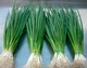 Семена Лук на зелень Сабля, 0,5 г (GL Seeds) - изображение 2