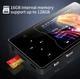 MP3 MP4 плеер Ruizu D08 2.4" Hi-Fi 8Gb с внешним динамиком металлический - изображение 13
