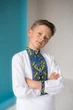 Вишиванка із синім орнаментом для хлопчика MEREZHKA 116 ріст - зображення 1