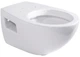 Унитаз подвесной DURAVIT Colomba 25470900000 без сиденья - изображение 1
