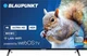 Телевизор Blaupunkt 43UB5000 - изображение 1
