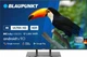 Телевизор Blaupunkt 55UB7000 - изображение 1