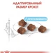 Сухий корм Royal Canin Mother and Babycat для кошенят від 1 до 4 міс. та кішок у період вагітності та лактації,1,2 кг - зображення 5