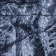 Гірлянда вулична (зовнішня) Springos 18 м 300 LED CL0325 Cold White - зображення 6